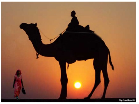 http://s8int.com/images4/camel-giant.jpg