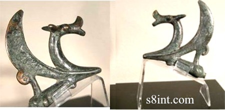 Ancient pterosaur
