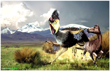 Terror Bird