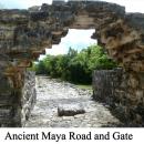 Ancient Mayas Travelled Via Concrete Road Unearth Concrete Highways Built by Mayas in Mexico In 410 A.D.